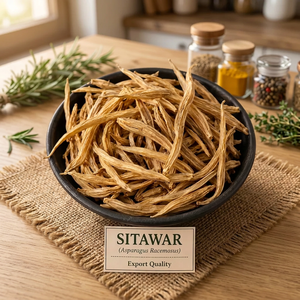 Raíz de Shatavari Premium | Ingrediente Herbal Ayurvédico Natural para Suplementos de Bienestar, Nutracéuticos y Suministro Global a Granel para Exportación - Product Image 6
