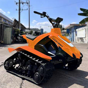 HKBG All-Terrain <b>Mini</b> ETV Electric Snowmobile-High-Power ET8 Eec Certified 50km Range 2WD 50Km/h for Thrill Seekers - Product Image 3