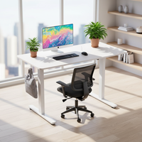 Fabricant de mobilier de bureau, bureau debout électrique intelligent réglable, poste de travail, cadre de bureau d'ordinateur