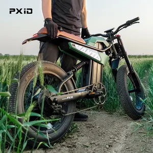 PXID 2023 Us Warehouse 750w 48v Electric Bicycle 20*4.0 Inch Fat Tire Adult Electric Bicycle