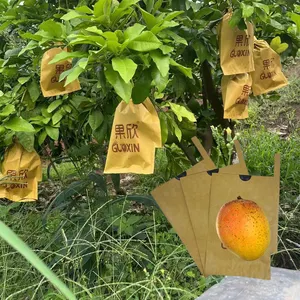 TJC tas kertas gulung buah anggur stroberi mangga tumbuh buah untuk perlindungan penumbuh buah