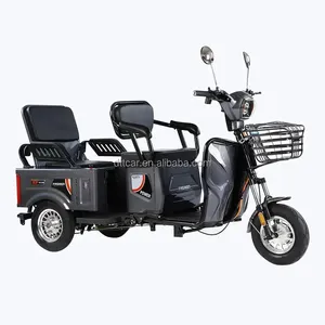 Factory sales EEC certificate electric tricycle adult big wheel tricycle tlectric tricycle for cargo passenger