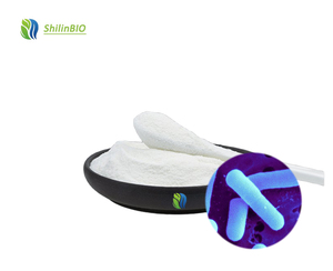 Lactobacillus Gasseri de qualité alimentaire, blanc, 10 milliards d'UFC, poudre de probiotiques lyophilisée, bidon/boîte, durée de conservation de 2 ans - Product Image 1