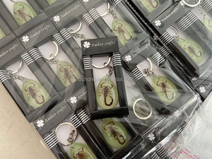 Directo de fábrica Real insecto espécimen ámbar llavero colgante regalo joyería mariquita mariposa escarabajo escorpión resina encantos llavero - Product Image 3
