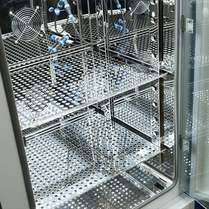 Incubadora de Laboratorio BIOBASE M Económica con Iluminación, 200L, para Germinación de Plantas y Cultivo de Plántulas - Product Image 5