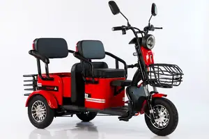 2023 Nuevo modelo de scooter eléctrico de 3 ruedas plegado 500 W Triciclos eléctricos de ocio para ancianos mini motocicleta eléctrica