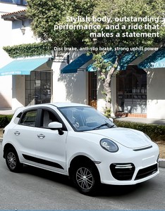 Vehículo Eléctrico de Nueva Energía para Adultos, Coche de Cuatro Ruedas para Uso Doméstico, Híbrido Gasolina-Eléctrico con Batería de Litio, Vehículo de Movilidad de 3.5-5 kW - Product Image 6