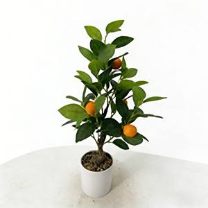 Árbol de Naranjas Artificial, Árbol Artificial, Árbol de Frutas Artificial, Árbol de Naranjas - Product Image 1