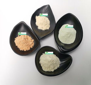 天然岩藻胶提取物粉末10% 85% 岩藻胶粉末散装 - Product Image 2