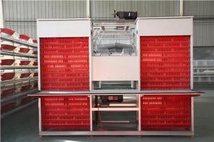 Chất lượng cao Tự động gà lồng và bền gà lồng lớp như nông nghiệp thiết bị cho trang trại của bạn - Product Image 5