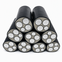 Câble d'alimentation YJLV22- 0.6/1kV 3*95+2*50 à conducteurs en aluminium, isolation XLPE, gaine en PVC, blindage en ruban d'acier, pour installation directe en terre
