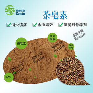 Factory Supply 85% Camellia Seed <strong>Saponin</strong> <strong>Extract</strong> Powder Tea <strong>Saponin</strong> - Product Image 3