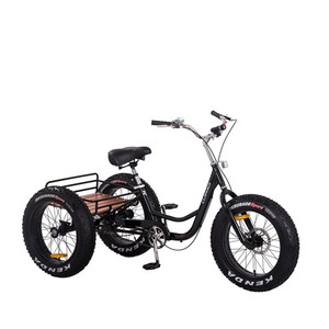 Gros Tricycle Adulte 20 "* 4.0" <span class=keywords><strong>Cargo</strong></span> <span class=keywords><strong>Vélo</strong></span> Roues De <span class=keywords><strong>Vélo</strong></span> Pas Cher <span class=keywords><strong>Vélo</strong></span> De Plage - Product Image 1