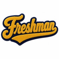 Patch en chenille personnalisé brodé thermocollant pour veste de lycéen, patch universitaire pour lycéen ; patch chenille Année Scolaire