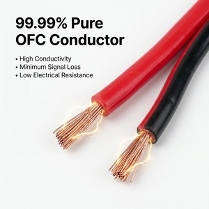 Cavo per Altoparlanti Parallelo RVB Rosso Nero a 2 Conduttori da 0,5mm² con Isolamento in PVC e Filo di Rame Senza Ossigeno al 99,99% per Audio - Product Image 1
