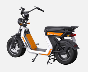 Vente en gros directe d'usine de trottinettes pour adultes, entrepôt européen - Product Image 6