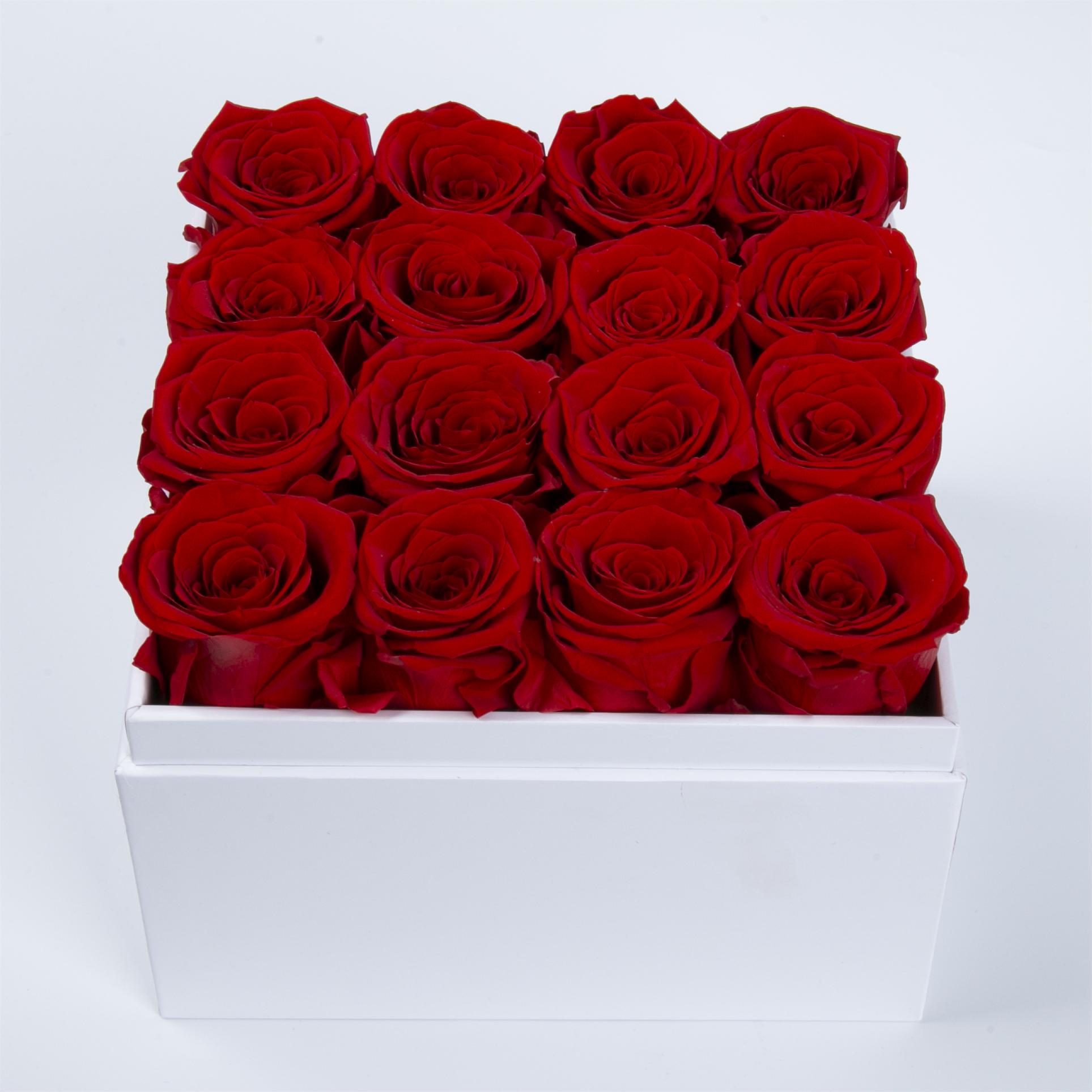 16 Roses In Square Box