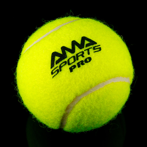 IPF-Zulassungs qualität Paddle Padel <span class=keywords><strong>Ball</strong></span> Pro PROS - Product Image 4