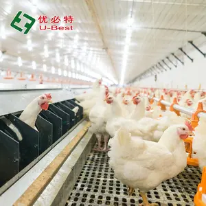 Preço barato Full Automatic Poultry Farming Design Chicken Broiler Pan Feeding System Equipment