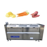 Beste prijs, hoge productiviteit borstelwasser/schiller voor wortelgroenten, fruit, maïs, noten & sojabonen met water