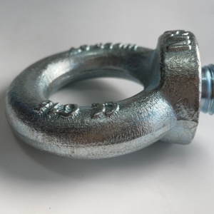 Bullone a Occhio di Sollevamento DIN580 M10-M36 in Acciaio al Carbonio Forgiato di Grado Industriale con Dado Zincato, Standard DIN - Product Image 5