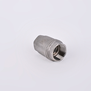 RTS Thép Không Gỉ 201 304 NPT BSP Một Chiều Không Trở Lại H12 Kiểm Tra Van Chủ Đề Mùa Xuân Tải Dọc Kiểm Tra Van - Product Image 4