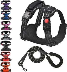 Custom Solid Fashion Durable Eco-friendly Waterproof Dog <b>Harness</b> Set Leash Collar Poop Bag Holder-PVC Polyester All Seasons - Product Image 1