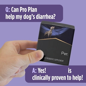 Integratore Probiotico Canino OEM ODM - 30 Bustine per Cani con Diarrea - Product Image 4