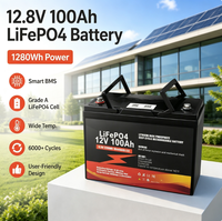 Batterie lithium-ion 12V 24V 36V 48V 100Ah 200Ah 300Ah 400Ah 600Ah avec BMS intelligent JBD pour camping-car et stockage d'énergie domestique