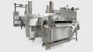 Macchina per friggere continua CE di fabbricazione della fabbrica spuntini friggitrice automatica per arachidi