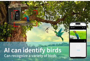 VESAFE basse puissance 4x Zoom Colibri Mini maison d'observation des <span class=keywords><strong>oiseaux</strong></span> Hd 3mp mangeoire à <span class=keywords><strong>oiseaux</strong></span> intelligente à énergie solaire avec caméra - Product Image 3