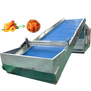 Secador de Alimentos con Cinta Transportadora de Malla FLY SUN, Equipo de Secado de Frutas de Acero Inoxidable para la Elaboración Automática de Conservas de Albaricoques - Product Image 1
