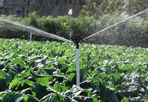 Pistolets à <span class=keywords><strong>eau</strong></span> rotatifs en plastique à 360 degrés avec filetage mâle de 1/2 pouce pour l'irrigation des fermes - Product Image 6