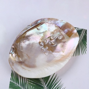 Vỏ trai ngọc trai nước ngọt tự nhiên 15-20cm dùng làm đồ trang sức tự chế - Product Image 4