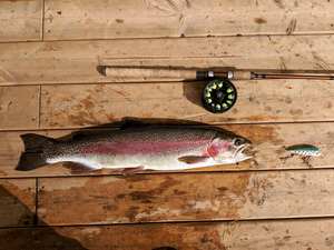 Leurre de pêche à la traîne personnalisé pour saumon et <span class=keywords><strong>truite</strong></span> en haute mer - Product Image 6