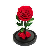 Fleurs séchées éternelles faites à la main sous cloche en verre - Longue durée de vie, respectueuses de l'environnement, prêtes à être exposées, cadeau multi-occasions