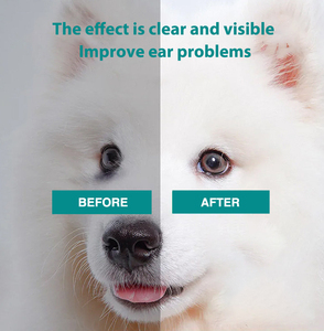 Toallitas húmedas suaves para mascotas, limpieza <span class=keywords><strong>de</strong></span> ojos para perros y gatos, forma redonda, 100 Uds./barril - Product Image 2