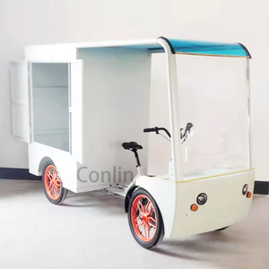 L'ultima bicicletta elettrica Cargo Ebike A quattro <span class=keywords><strong>ruote</strong></span> motrici A quattro <span class=keywords><strong>ruote</strong></span> del 2024 con una custodia Bakfiets Cargo Bike - Product Image 1