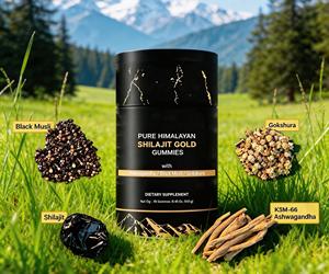 Gomitas Veganas de Shilajit Dorado de Marca Privada al por Mayor, 60 Unidades, Aumentan la Energía, Refuerzan el Sistema Inmunitario, Múltiples Minerales, Ácido Fúlvico - Product Image 1