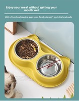 Bol pour chat Produits pour chiens Accessoires pour animaux de compagnie