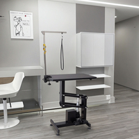 Table de toilettage électrique de haute qualité EUR VET pour chats et chiens, alimentée par batterie, antidérapante, antistatique, en caoutchouc, facile à utiliser, portable