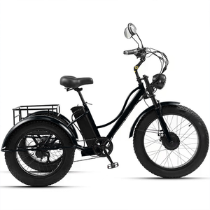 Tricycle <span class=keywords><strong>électrique</strong></span> de 24 pouces, tricycle <span class=keywords><strong>cargo</strong></span>, <span class=keywords><strong>vélo</strong></span> à 3 roues, gros pneus, scooter, tricycle <span class=keywords><strong>électrique</strong></span> motorisé, e-tricycle, pédicab pour le transport - Product Image 3