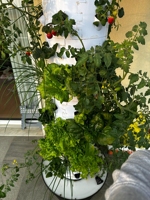 Serre agricole en plastique PVC, système hydroponique vertical, petit jardin en tour monocouche