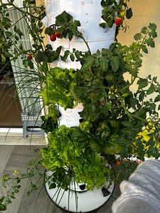 <span class=keywords><strong>Serre</strong></span> agricole en plastique PVC, système hydroponique vertical, petit <span class=keywords><strong>jardin</strong></span> en tour monocouche - Product Image 2