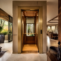 Ascenseur domestique pour villa à 2 étages, ascenseur résidentiel, cabine or champagne, ascenseur pour passagers avec éclairage LED au plafond