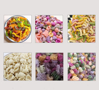Macaroni à pâtes multifonctionnel automatique commercial faisant la Machine pieds de poulet forme de lanterne équipement de fabricant de nouilles rondes