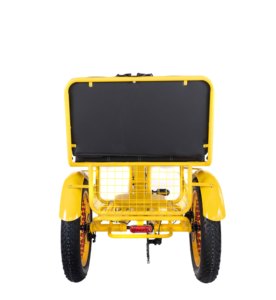 750W 8Fun elettrico Pedicab risciò triciclo per passeggeri grande motore per pneumatici da neve 40 KM/H 21AH batteria EN15194 adulti Etrike 48v