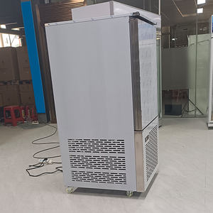 IQF pesce pollo Fast Blast Freezer grande capacità a bassa temperatura Shock frigorifero rapido in acciaio inossidabile ventola di raffreddamento ammortizzatore congelatore - Product Image 5