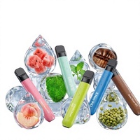 Filtres à cigarettes jetables en métal portables aromatisés à la menthe et aux fruits – Fraîcheur sans fumée pour homme et femme, idéaux pour les déplacements