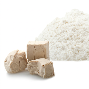High Purity 100% Pure Yeast <b>Protein</b> <b>Isolate</b> Vegan <b>Powder</b> FitTree International 24 Months Shelf Life Nutrition Enhancers - Product Image 1